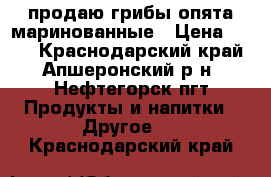 продаю грибы опята маринованные › Цена ­ 450 - Краснодарский край, Апшеронский р-н, Нефтегорск пгт Продукты и напитки » Другое   . Краснодарский край